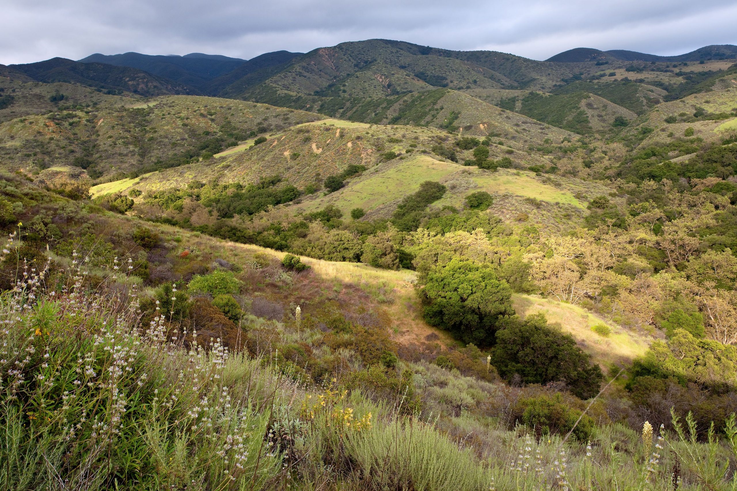 Starr Ranch Backup Site Starr Ranch Backup Site